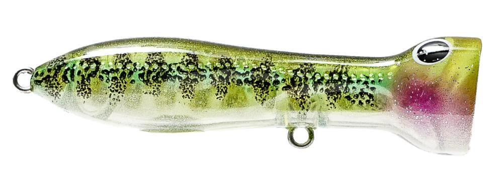 Nomad Design Chug Norris Freshwater/Inshore Popper - Image 6