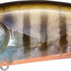 Megabass Big-M 2.0 Magnum Medium Diving Crankbait