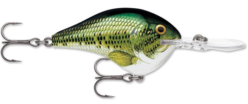 Rapala DT Series Crankbait DT8 - Image 2