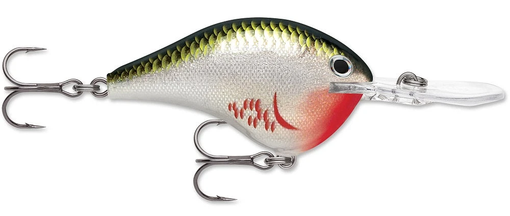 Rapala DT Series Crankbait DT8 - Image 5