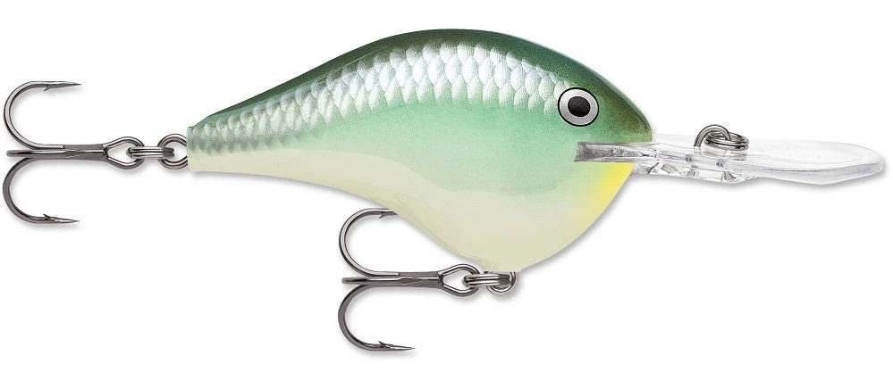 Rapala DT Series Crankbait DT8 - Image 6