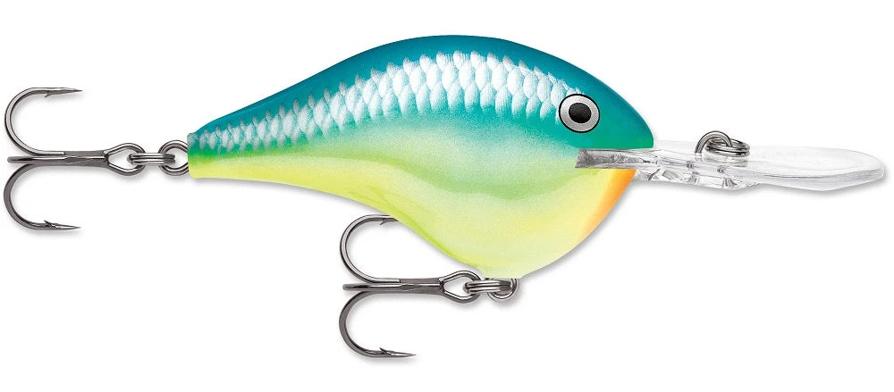 Rapala DT Series Crankbait DT8 - Image 9