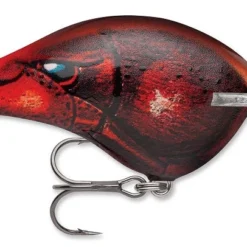 Rapala DT Series Crankbait DT8
