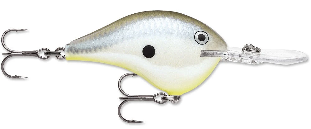 Rapala DT Series Crankbait DT8 - Image 15