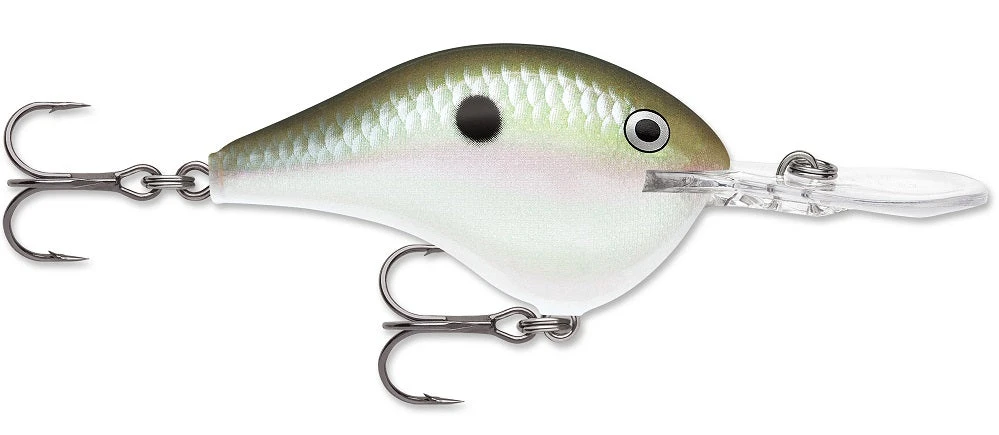 Rapala DT Series Crankbait DT8 - Image 17