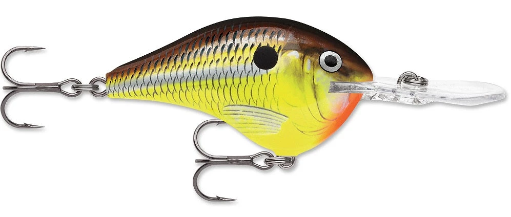 Rapala DT Series Crankbait DT8 - Image 19