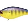 Lucky Craft Fat BDS3 Shallow-Diving Crankbait