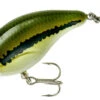 Bandit 100 Series Shallow Diving Crankbait