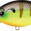 Evergreen International CR-13 Deep Diving Crankbait