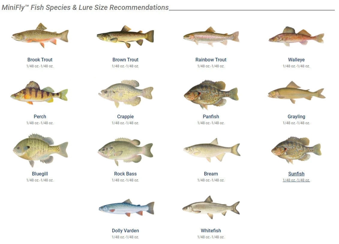 Panther Martin MiniFly 3-Pack Spinner Kit - Image 2