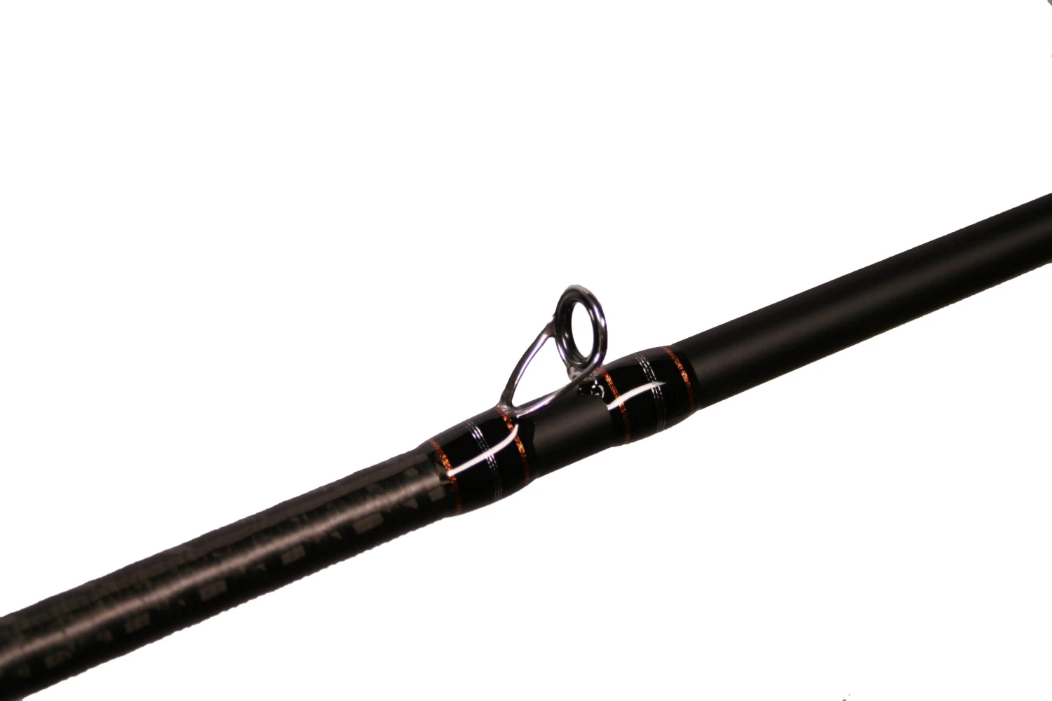 Dobyns Champion Extreme HP Casting Rods - Image 5