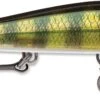Rapala RipStop 12 Jerkbait