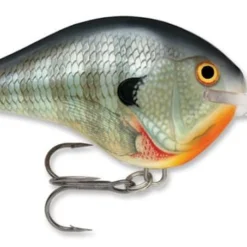 Rapala DT Series Crankbait DT14