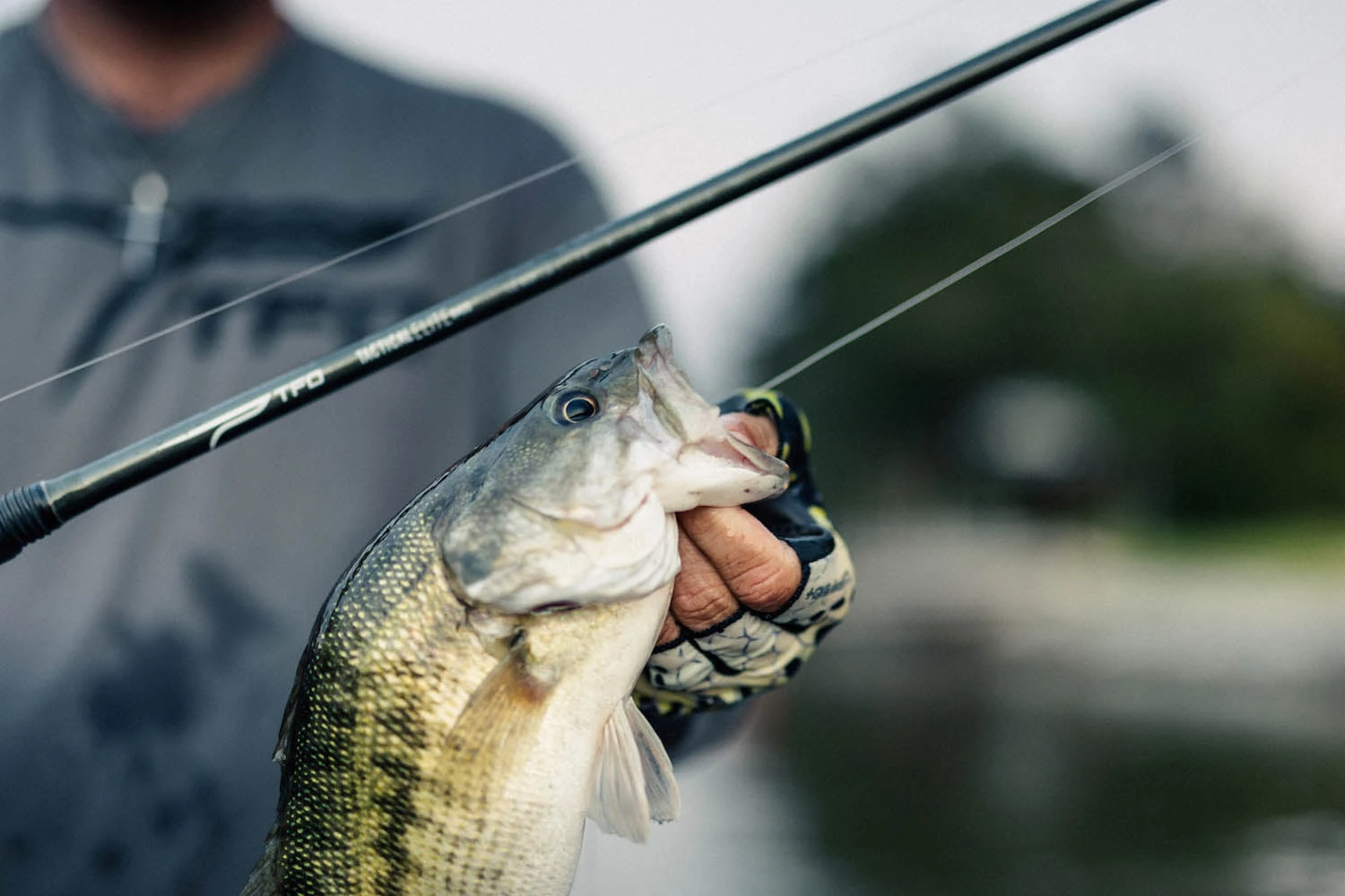 Temple Fork Outfitters Tactical Elite Bass Spinning Rods - Image 4